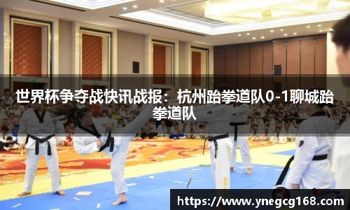 世界杯争夺战快讯战报：杭州跆拳道队0-1聊城跆拳道队
