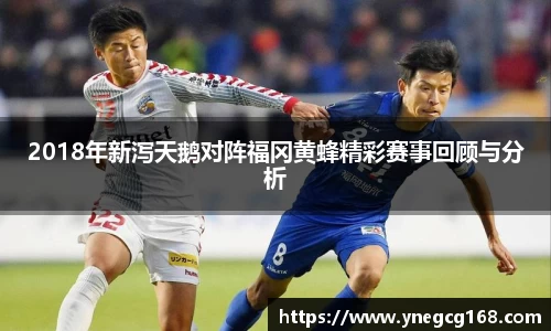 2018年新泻天鹅对阵福冈黄蜂精彩赛事回顾与分析