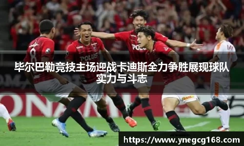智博19有限公司