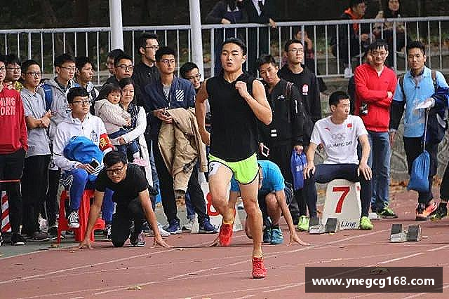 发现zbo1919